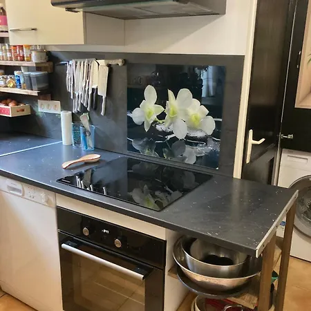 La Maison Des Orchidees