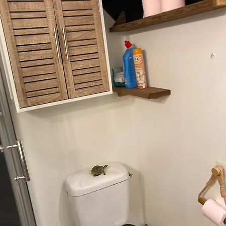 בית נופש La Maison Des Orchidees בובר